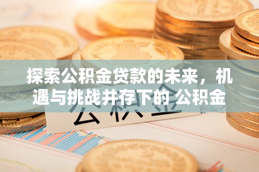 松山探索公积金贷款的未来，机遇与挑战并存下的 公积金贷款风险防控