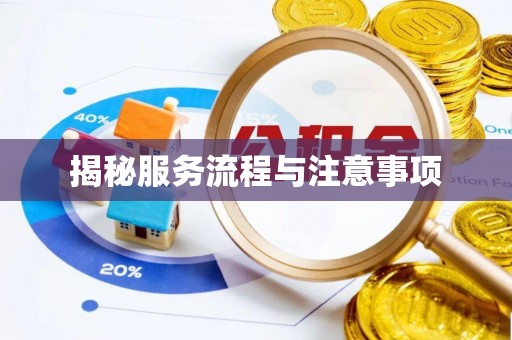 松山揭秘服务流程与注意事项