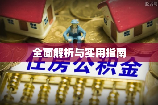 松山全面解析与实用指南