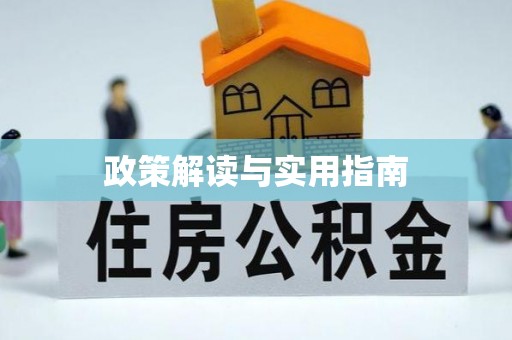 松山政策解读与实用指南