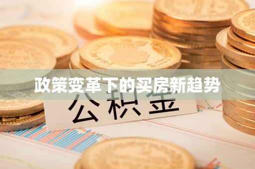 松山政策变革下的买房新趋势