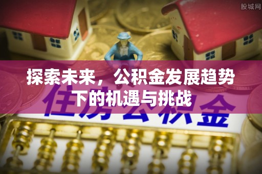 松山探索未来，公积金发展趋势下的机遇与挑战