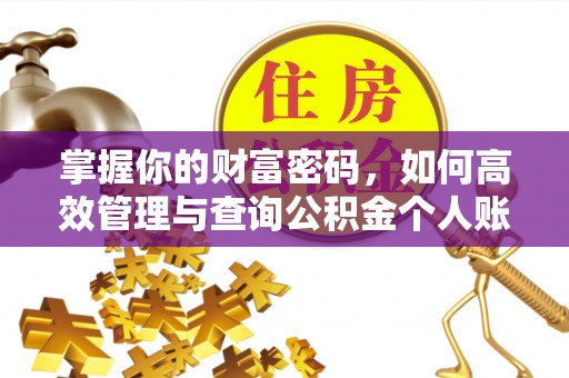 松山掌握你的财富密码，如何高效管理与查询公积金个人账户信息