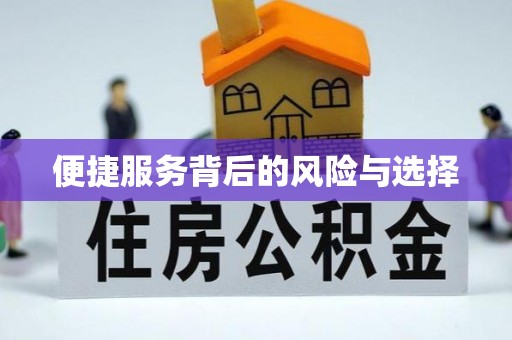 松山便捷服务背后的风险与选择