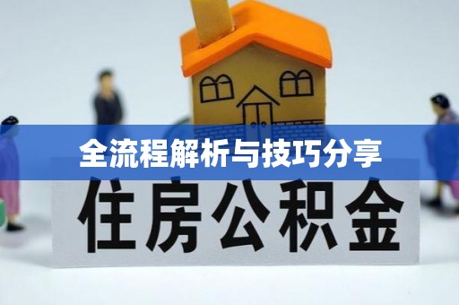 松山全流程解析与技巧分享